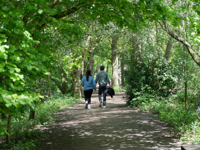A couple walking along a tree shaded path in Hartsholme Country Park, Lincoln