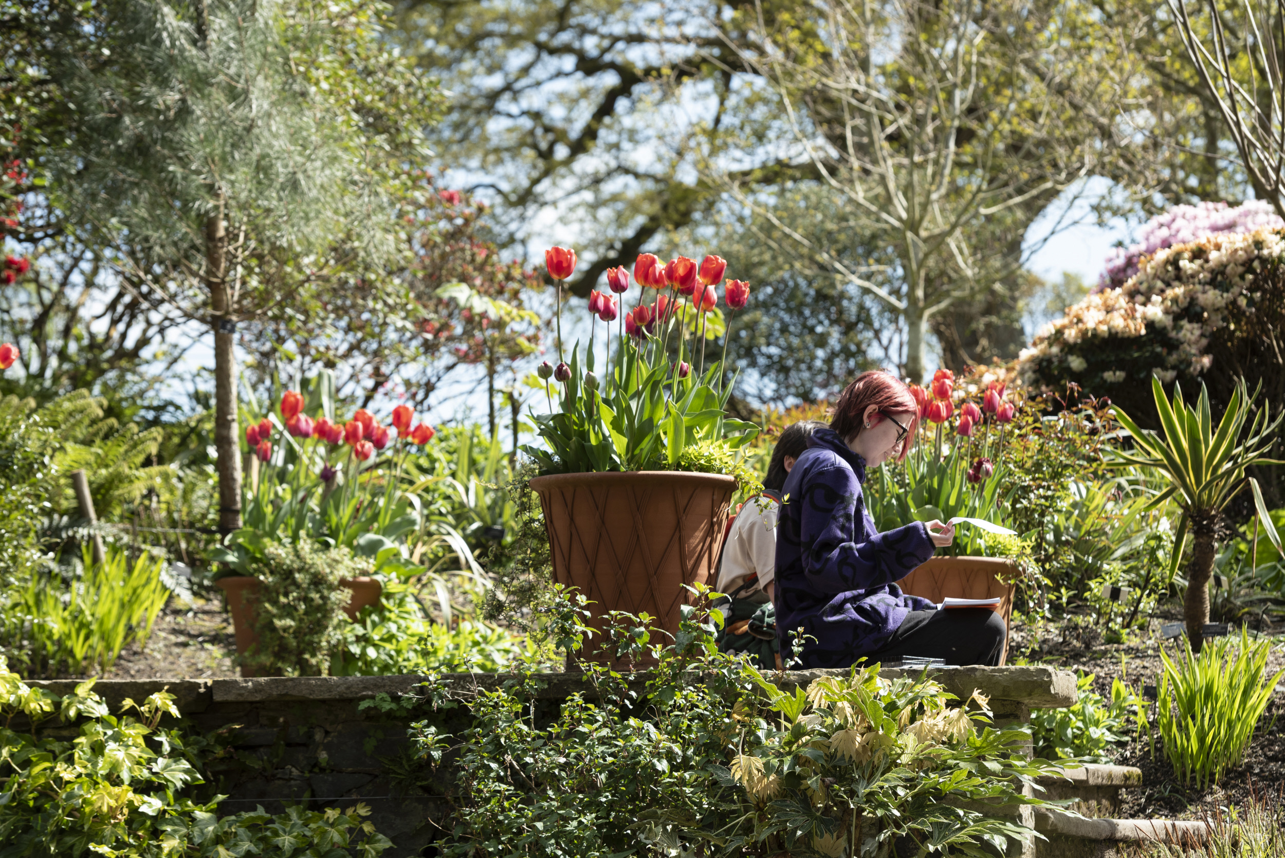 People resting in a garden setting.
