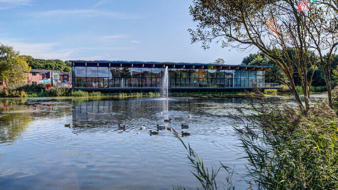View of lake complete with fountain and ducks to a glass fronted building
