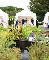 File di erbe aromatiche in vendita alla Jekka's Herb Farm a Bristol