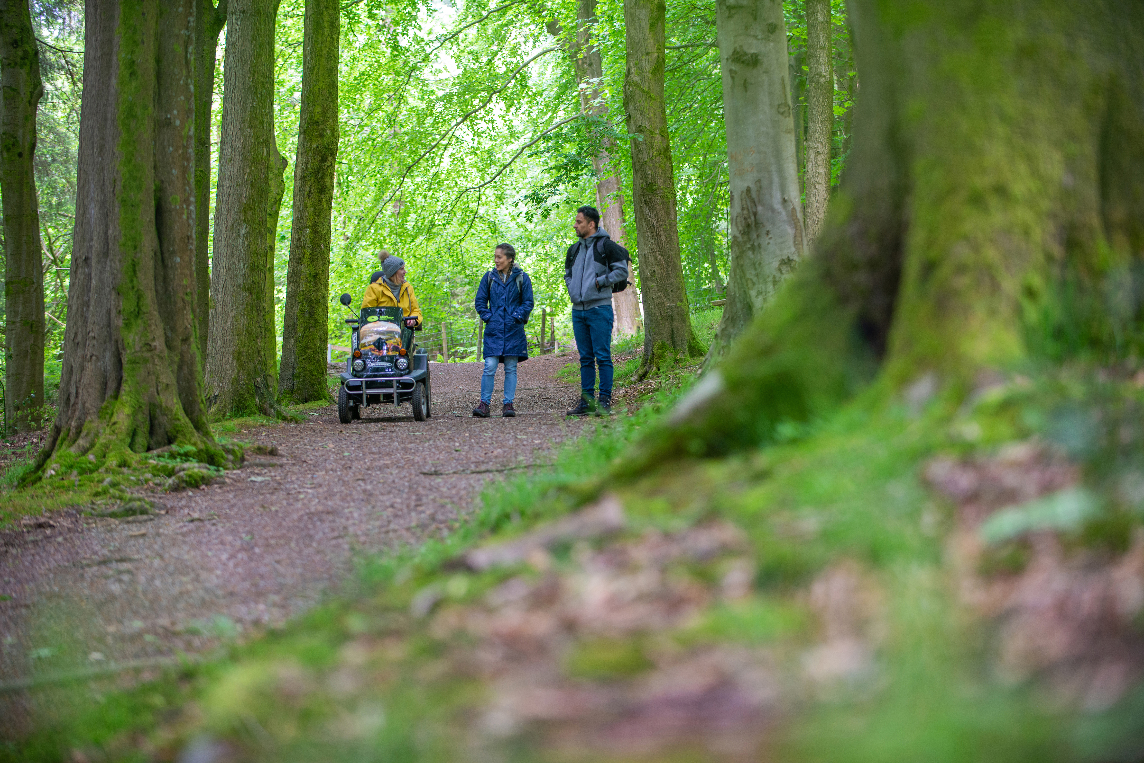 A man and two women enjoy the outdoors in woodland