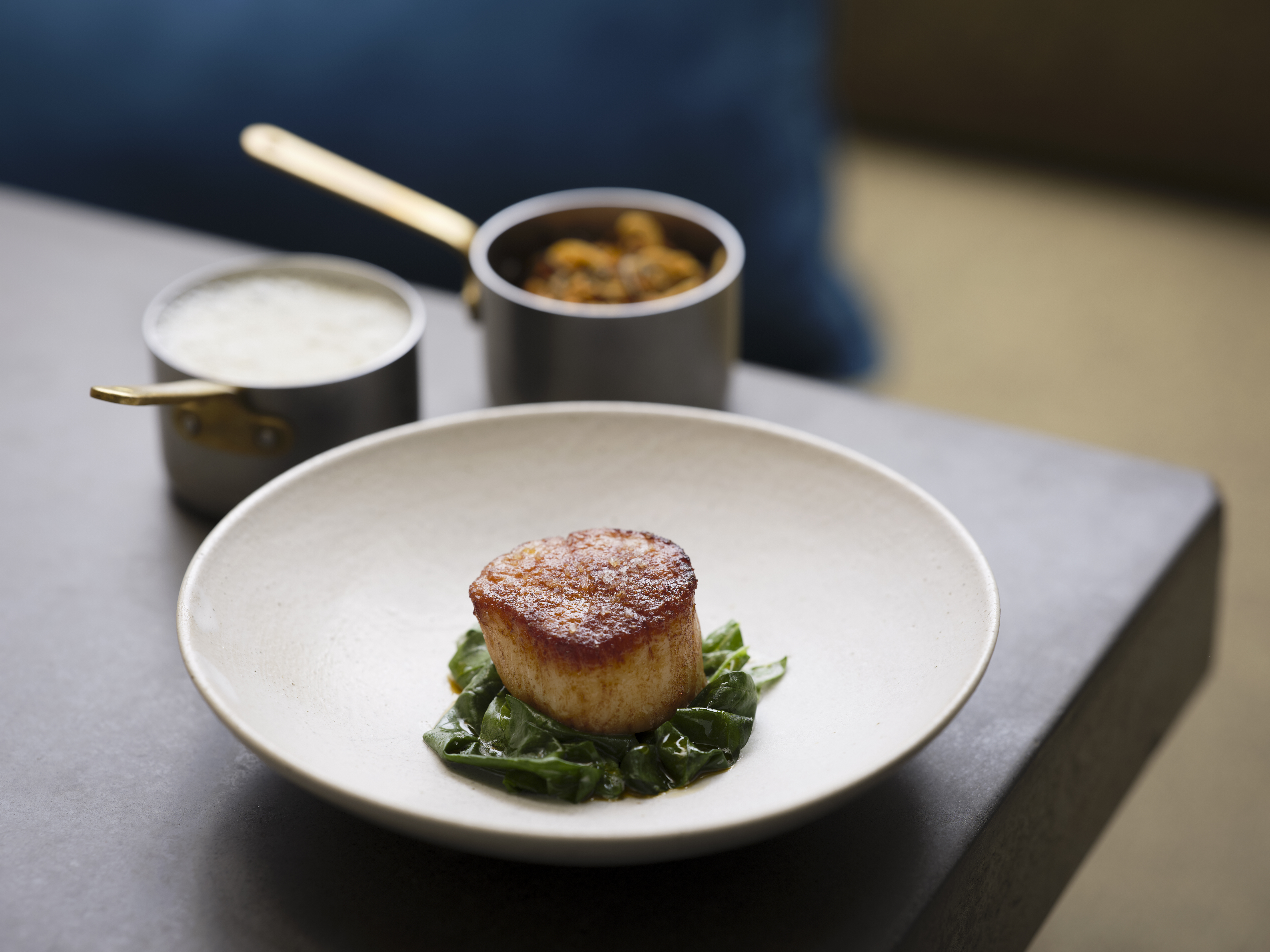 Scallop dish at Rogan & Co