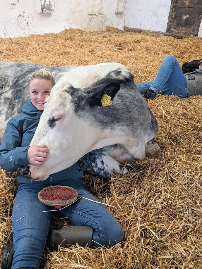 A woman cuddling a cow in a cow shed.