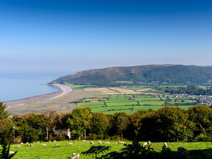 View of the coast with sheep grazing nearby
