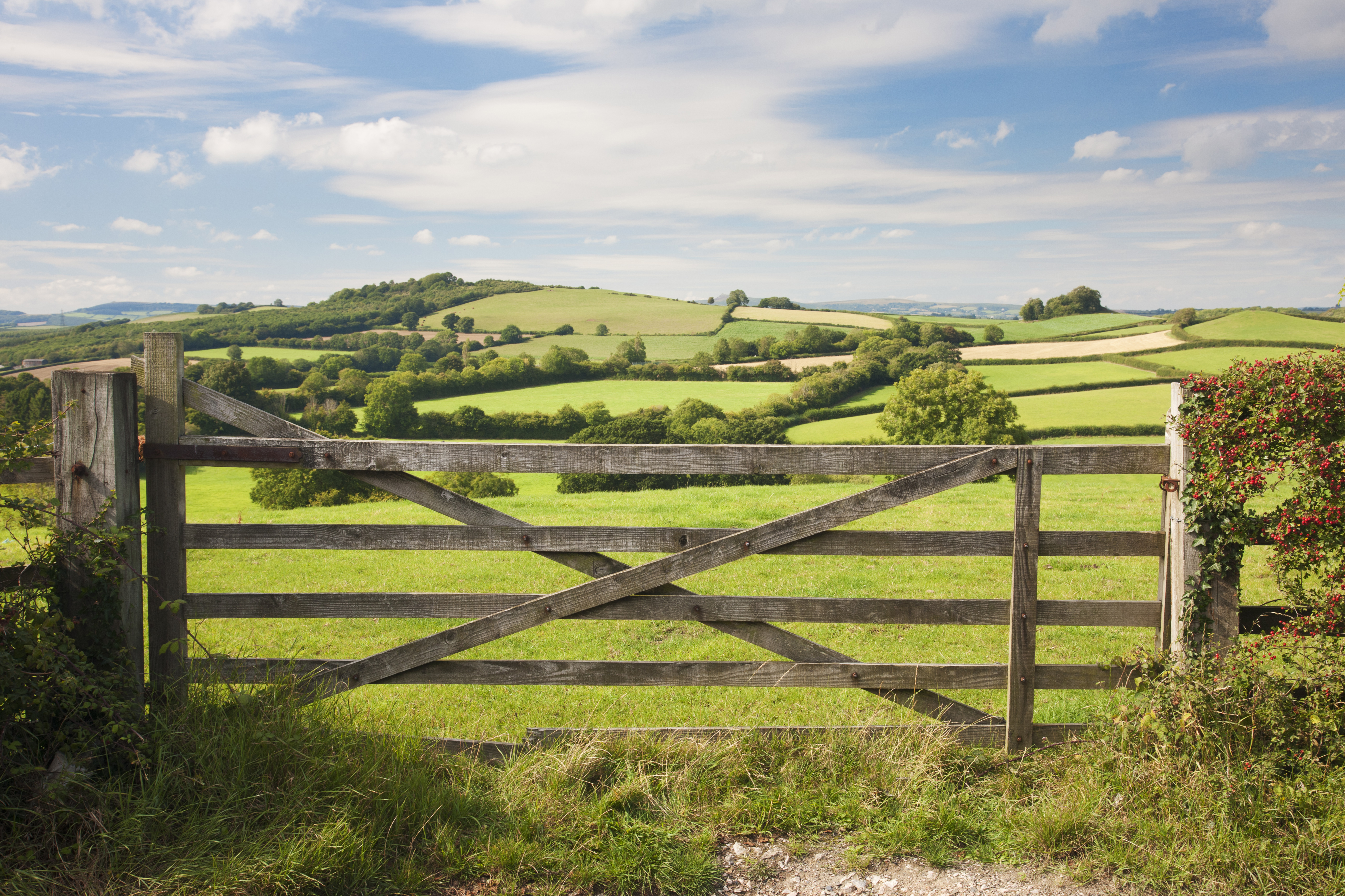 A wooden gate at the entrance of a field looking over to the rolling hills of the countryside