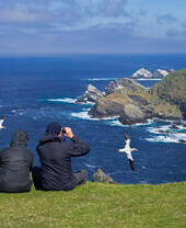 Birdwatchers watching gannets and great skua soaring past sea cliffs and stacks at seabird colony at Hermaness, Unst, Shetland Islands, Scotland, UK