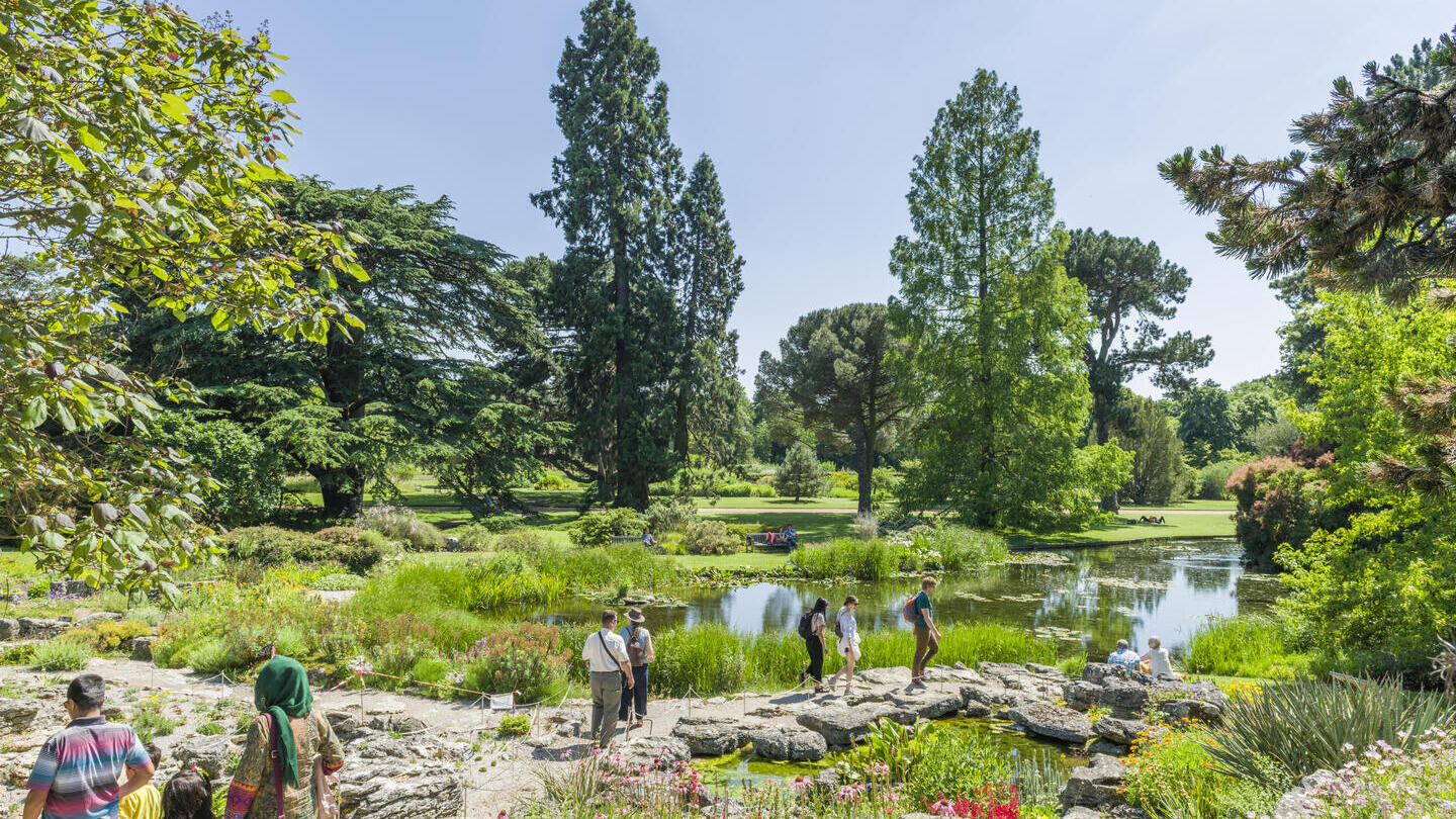 Jardín botánico con personas paseando entre árboles y un estanque bajo un cielo soleado.
