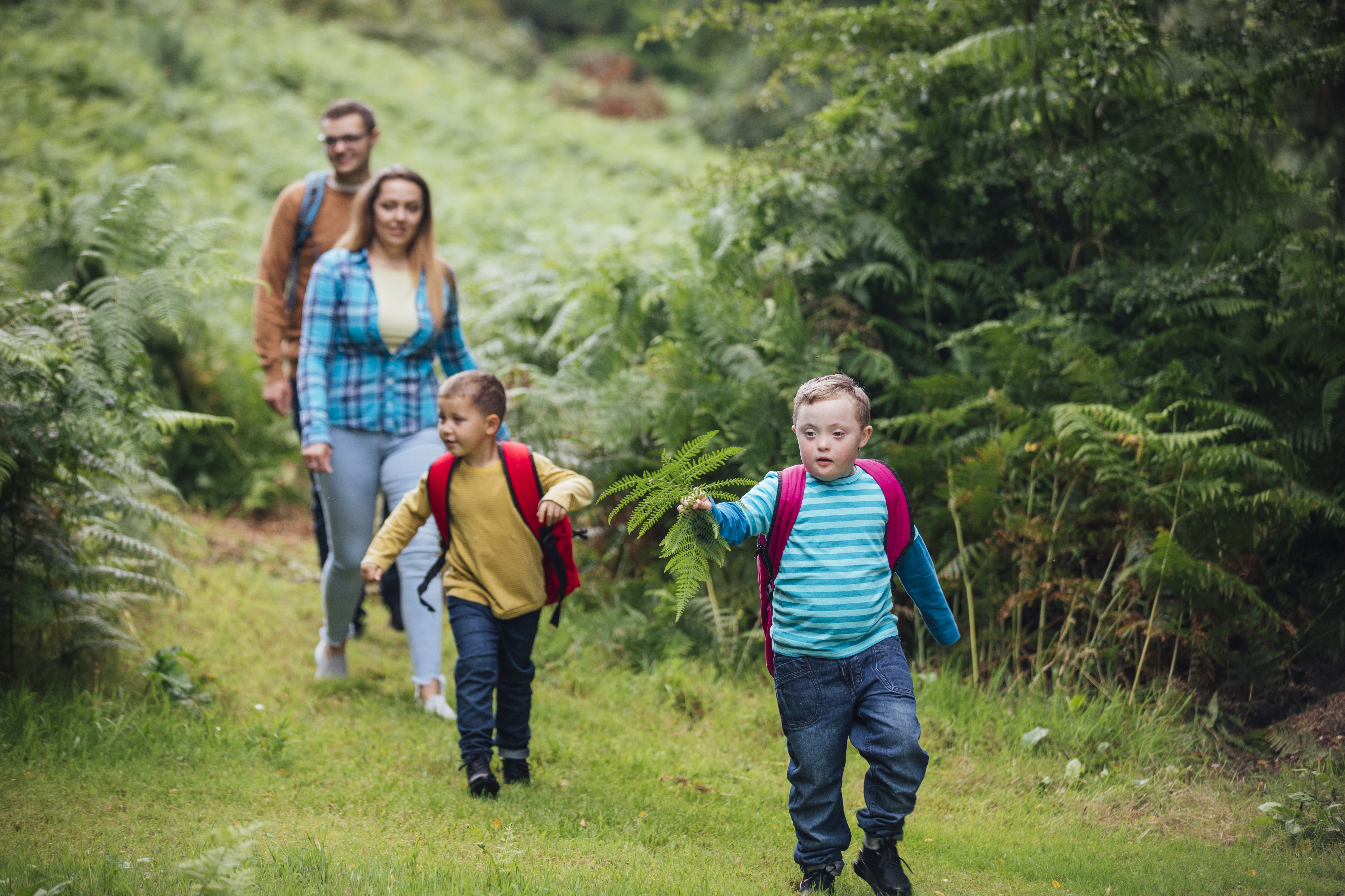 Family walking down a path between ferns in a forest