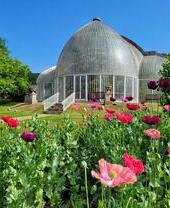 Bicton Park Botanical Gardens
