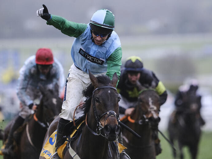 Horses with jockeys competing at horse race