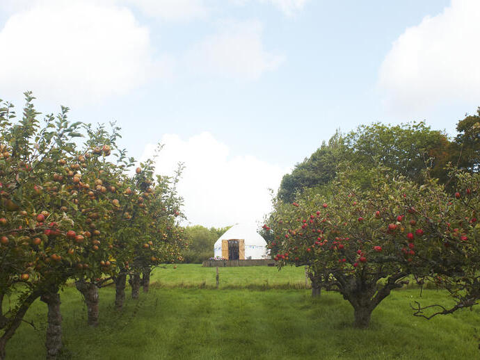 A yurt in an orchard campsite