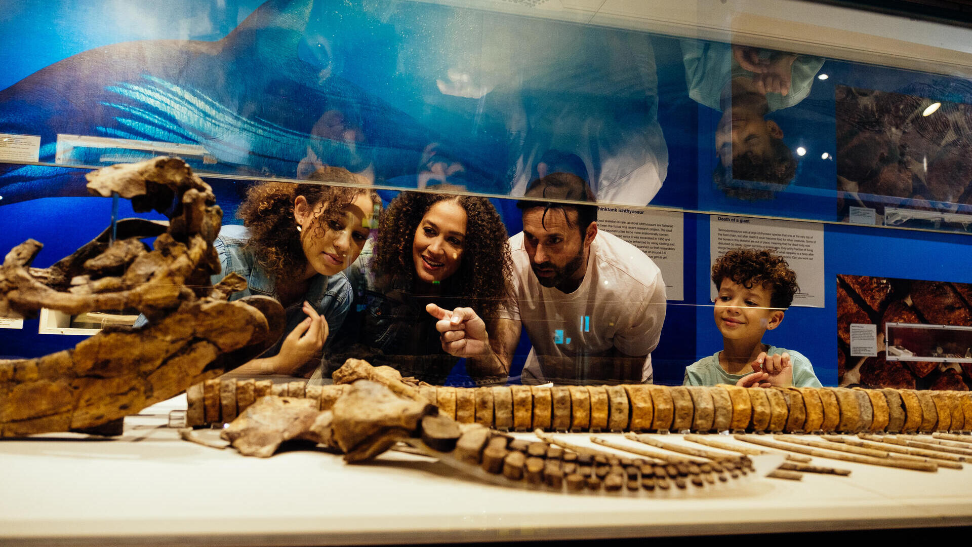 عائلة تنحني لترى هيكل عظمي لحيوان معروض