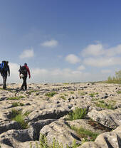 People walking on the limestone rocks above the cliffs