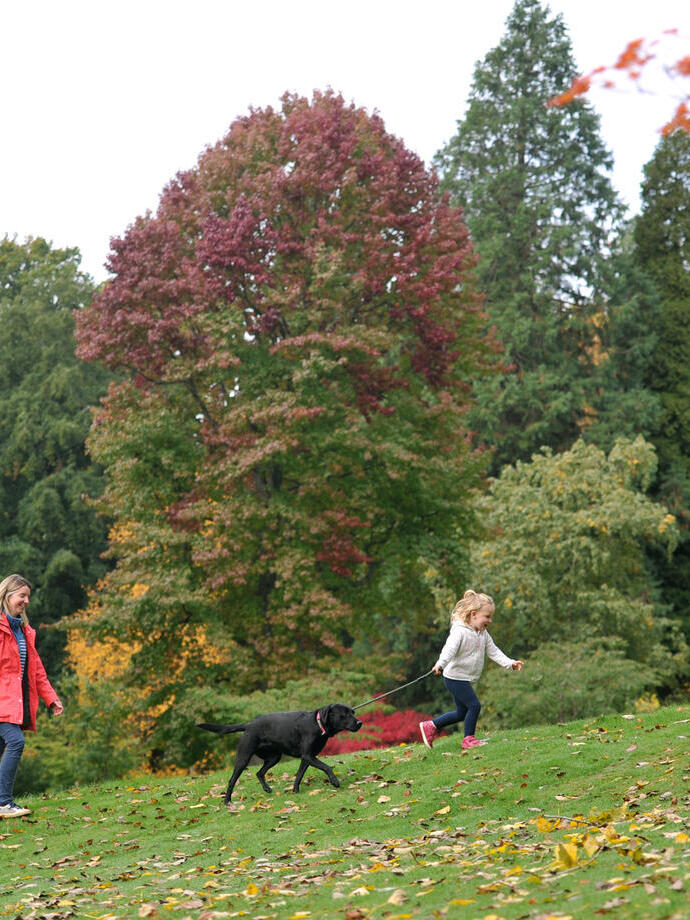 Une femme et sa jeune fille promenant leur chien noir à l'arboretum de Batsford