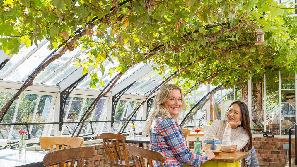 Two female friends having a drink in a glasshouse with a vine overhead.