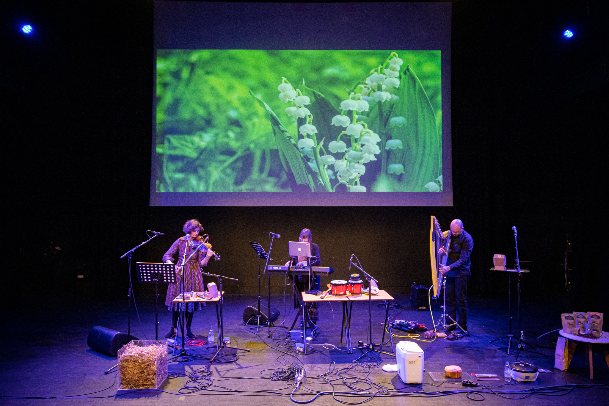 A band performing on stage with a variety of music instruments as part of Bangor Music Festival