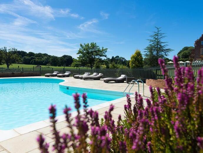 Swimming pool surrounded by a garden on a sunny day
