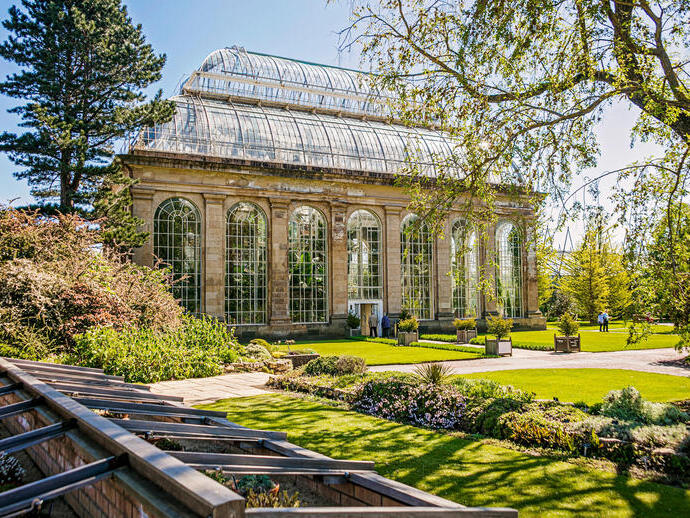 Großes Gewächshaus und Garten mit Pflanzen und Bäumen.
