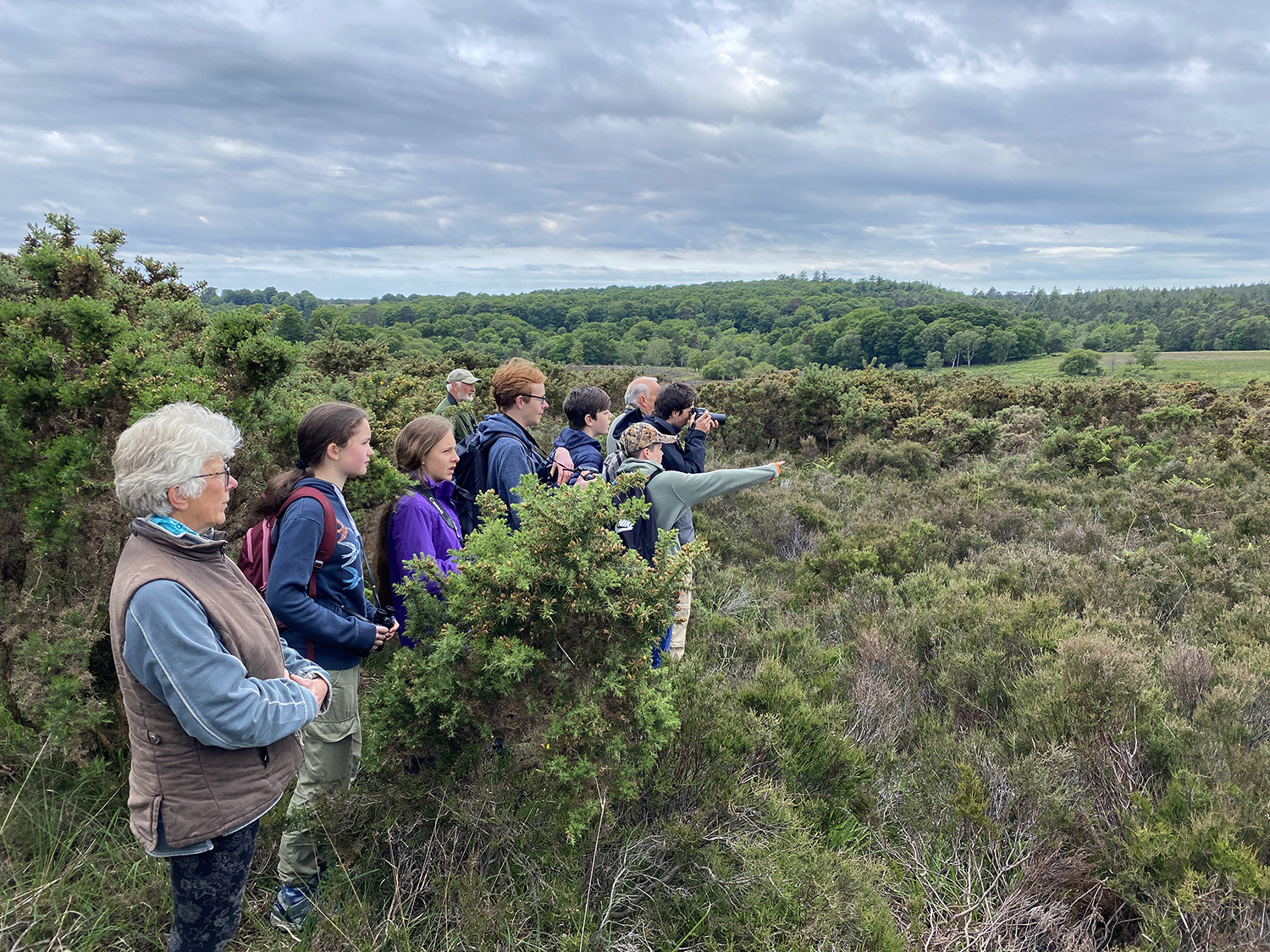 A group of people looking out over the landscape on a tour of the New Forest