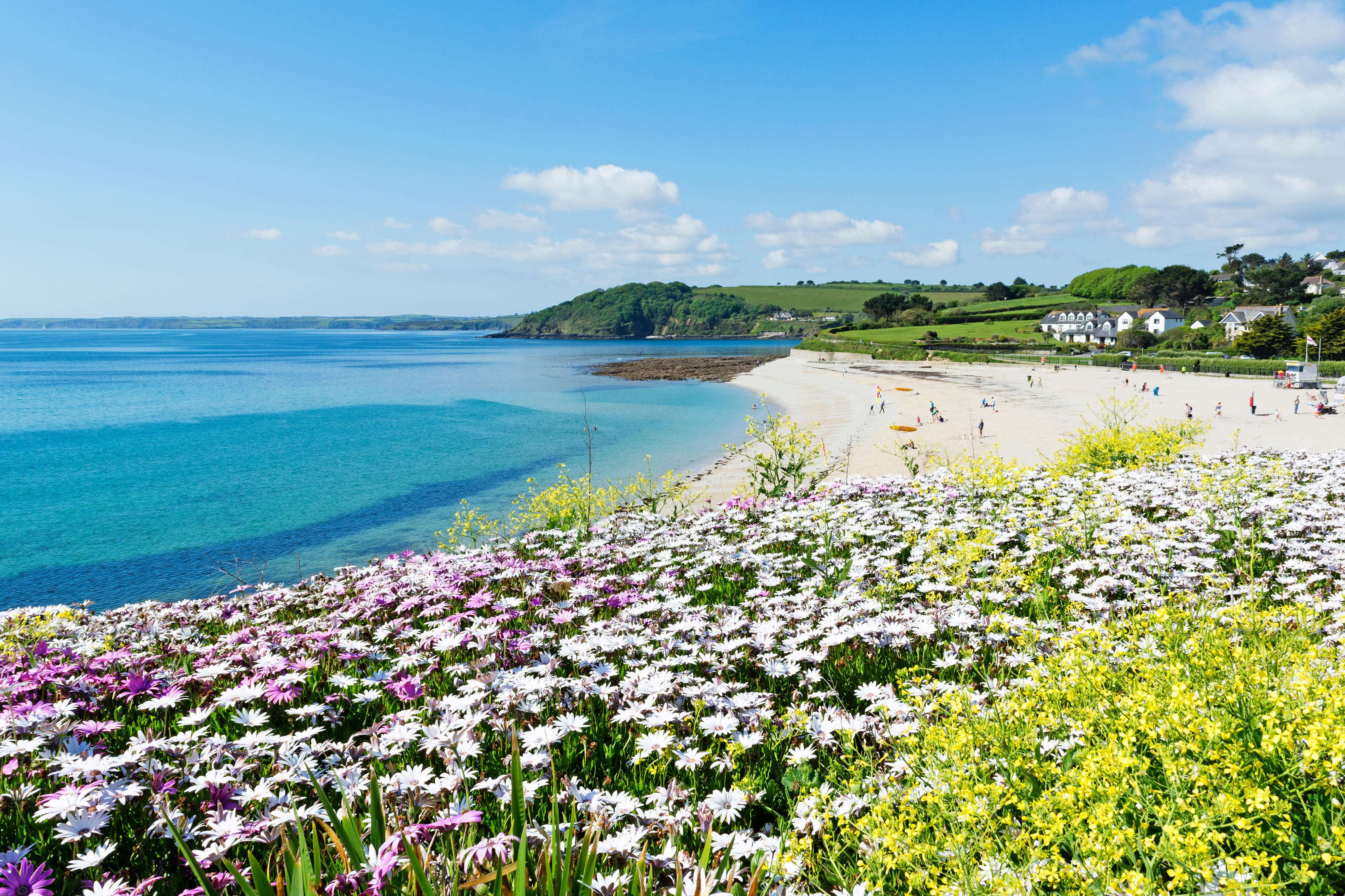 Flower fields leading up to a pretty beach and turquoise sea