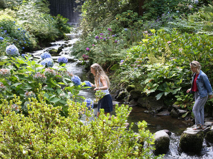 Friends crossing a stream in a floral garden.