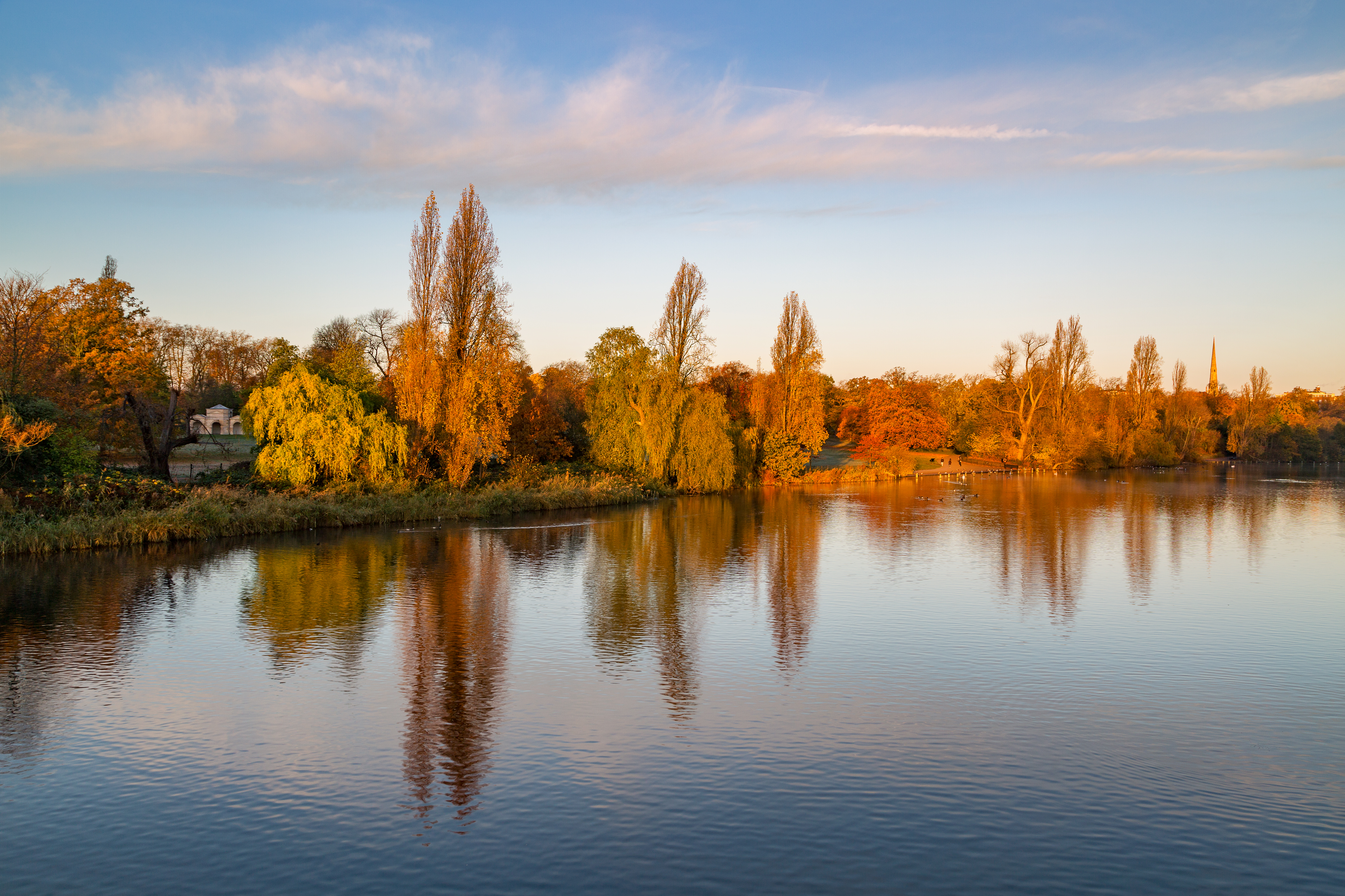 Lago e alberi a Hyde Park