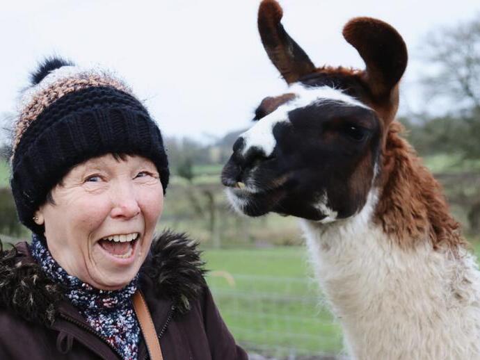 Una mujer posando con una alpaca en la granja Middle England Farm