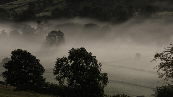 Early morning mist lingers over a rural landscape with fields and scattered trees, creating a tranquil, atmospheric scene.
