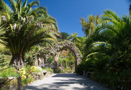 Tresco Abbey Garden
