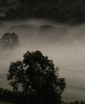 Early morning mist lingers over a rural landscape with fields and scattered trees, creating a tranquil, atmospheric scene.