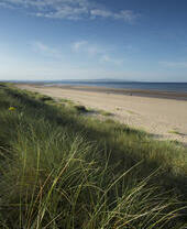 Una larga playa de arena enmarcada por dunas cubiertas de hierba, con una persona paseando a su perro en la distancia.