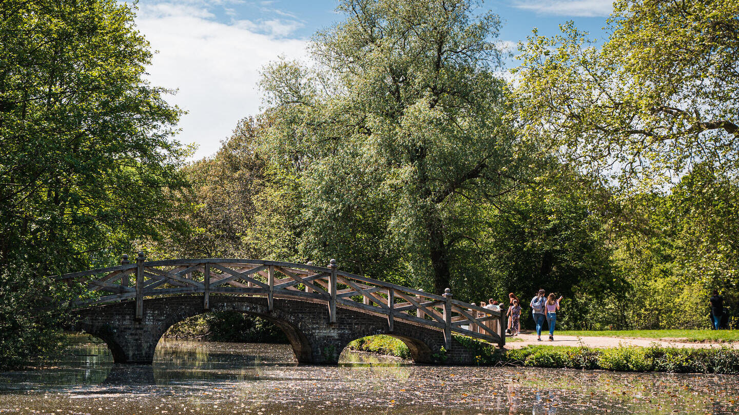 Un pont en bois au-dessus de l'eau, entouré d'arbres
