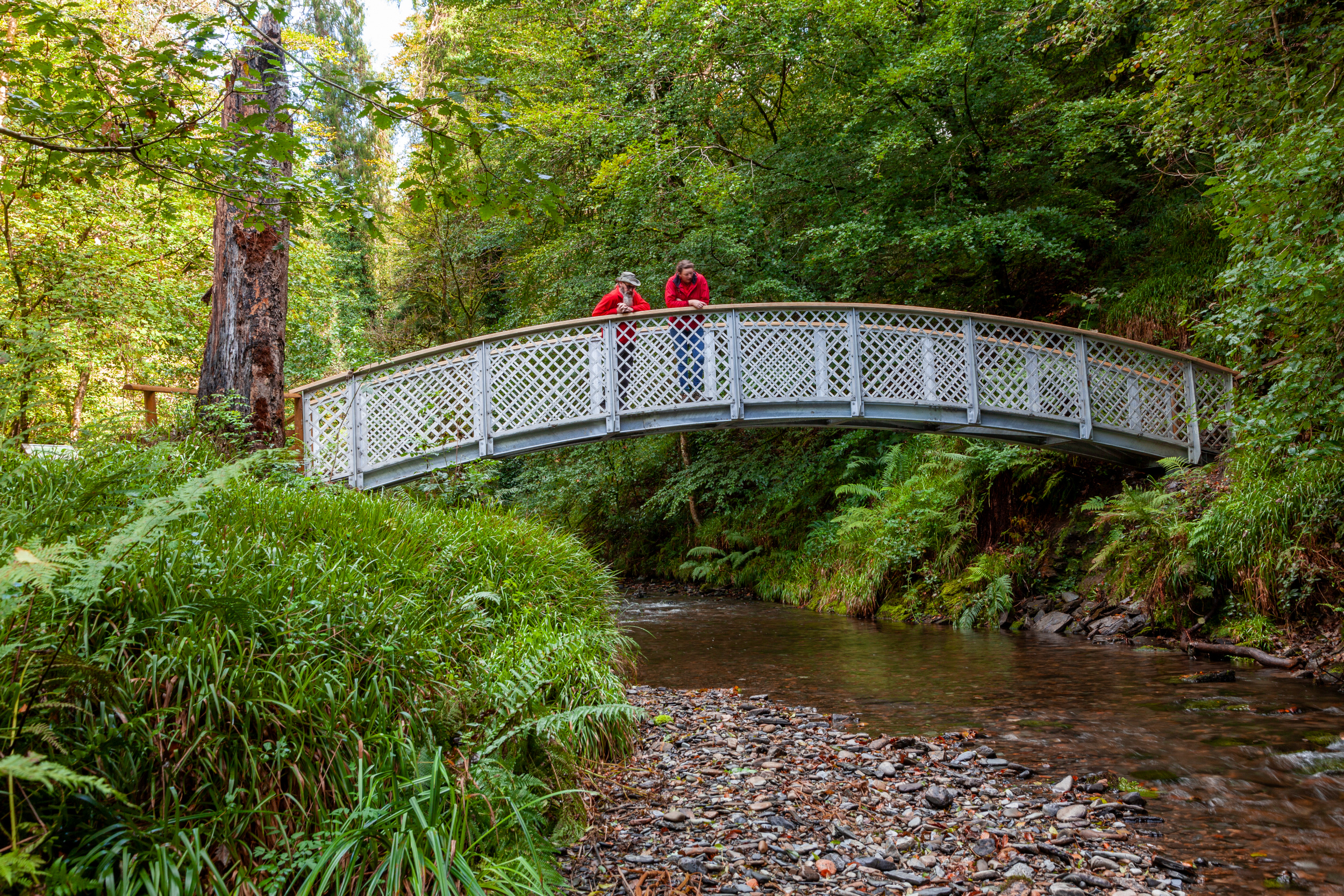 Nuevo puente de Pixie Glen, garganta de Lydford