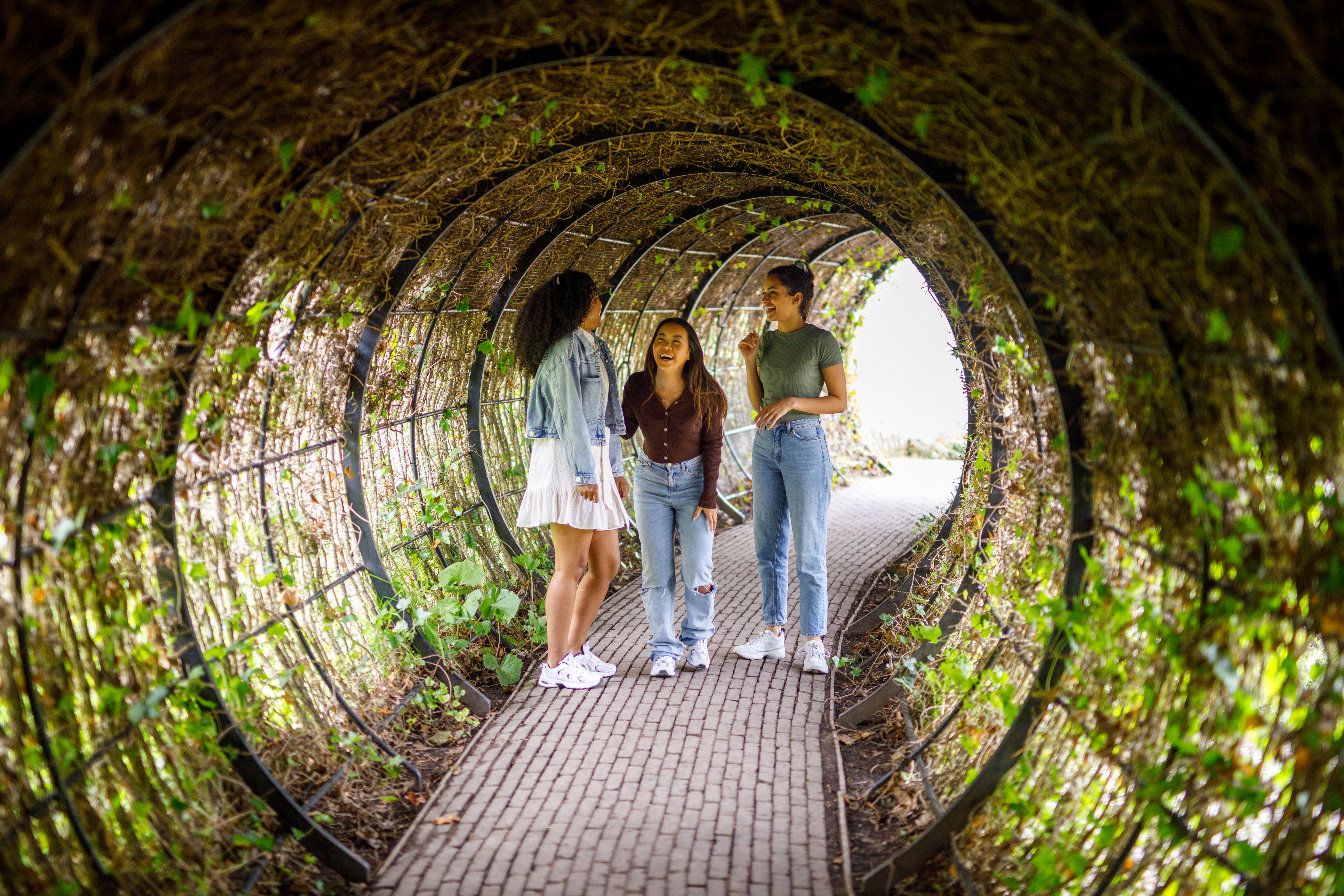 Three women inside a plant tunnel in a garden