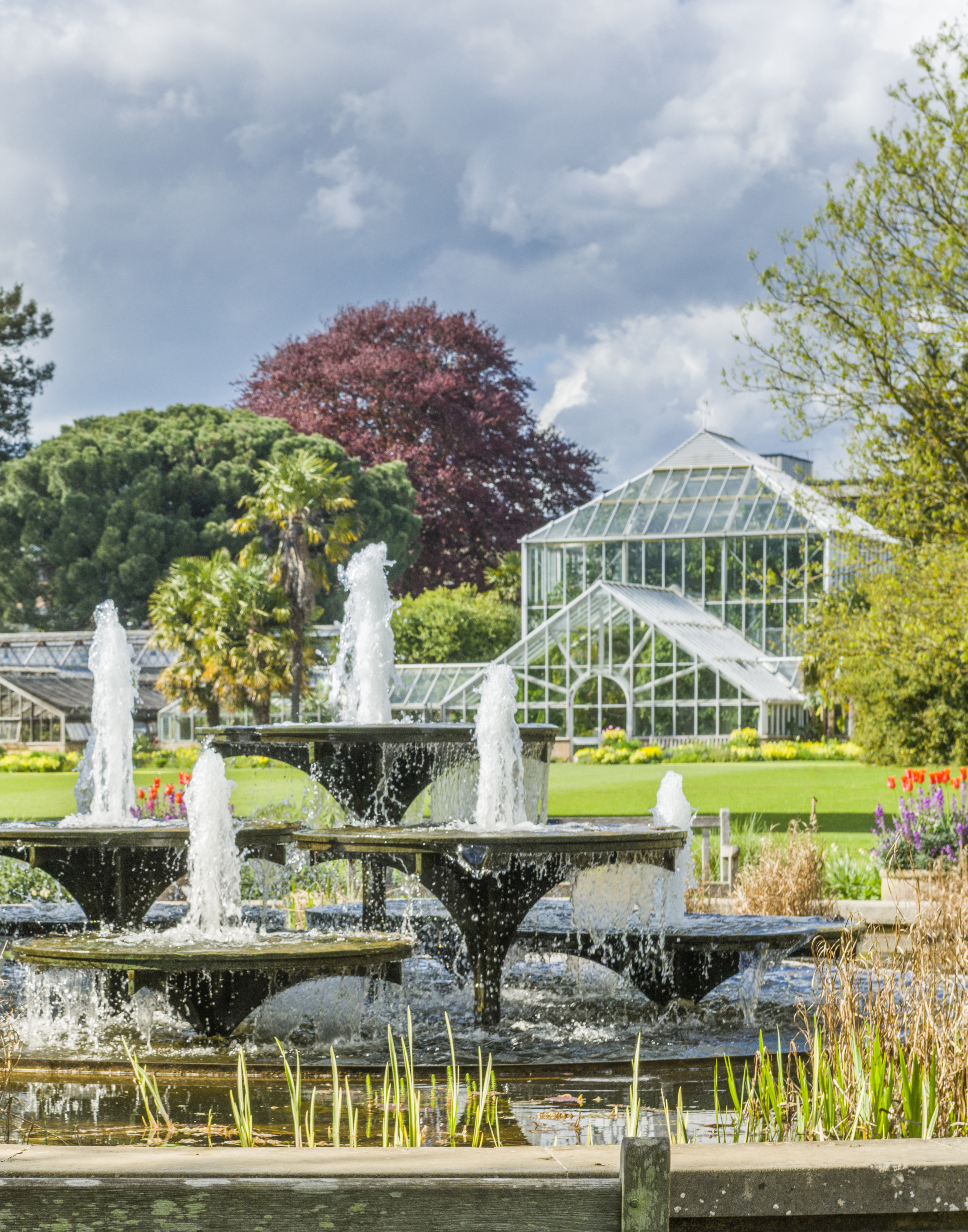 portrait_Cambridge University Botanic Garden Garden view. Fountains and visitors._19A0199