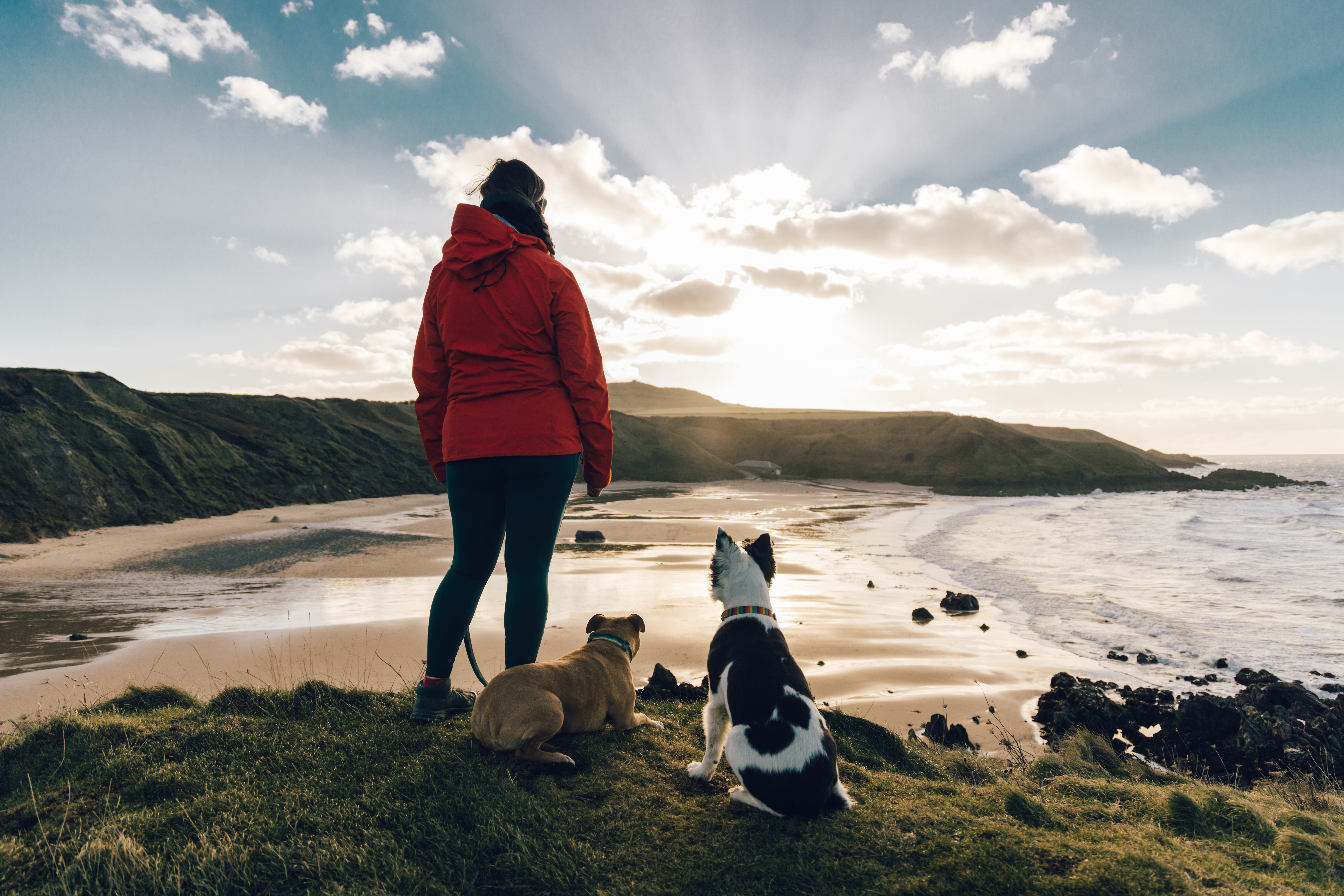 Una donna e due cani che guardano una spiaggia sabbiosa e l'oceano.