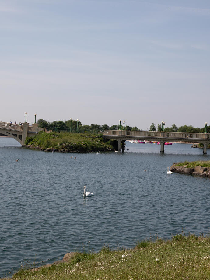 View of swans swimming across a lake in seaside town