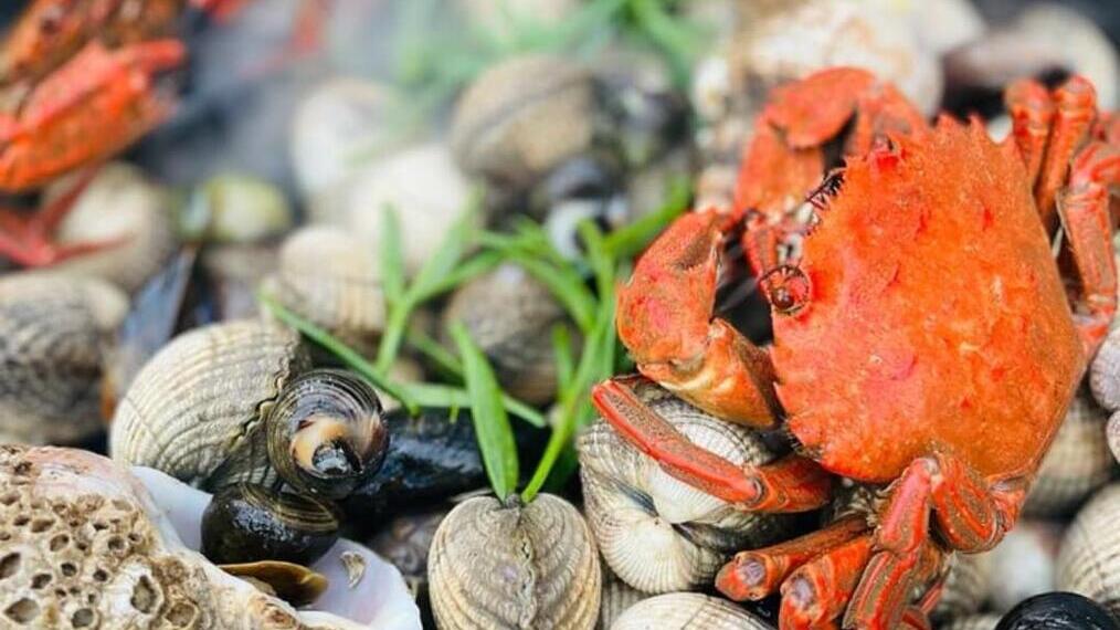 Cibo raccolto sulla costa e cucinato in padella