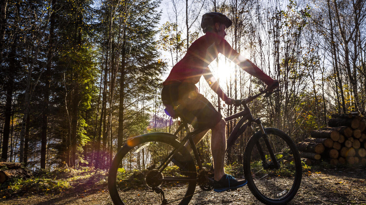 Man riding a bicycle through trees