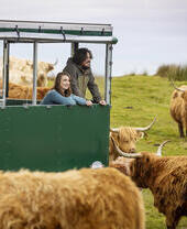 Una pareja realizando una experiencia agrícola guiada entre ganado vacuno y ovino de las Highlands desde un remolque especialmente diseñado para ello.