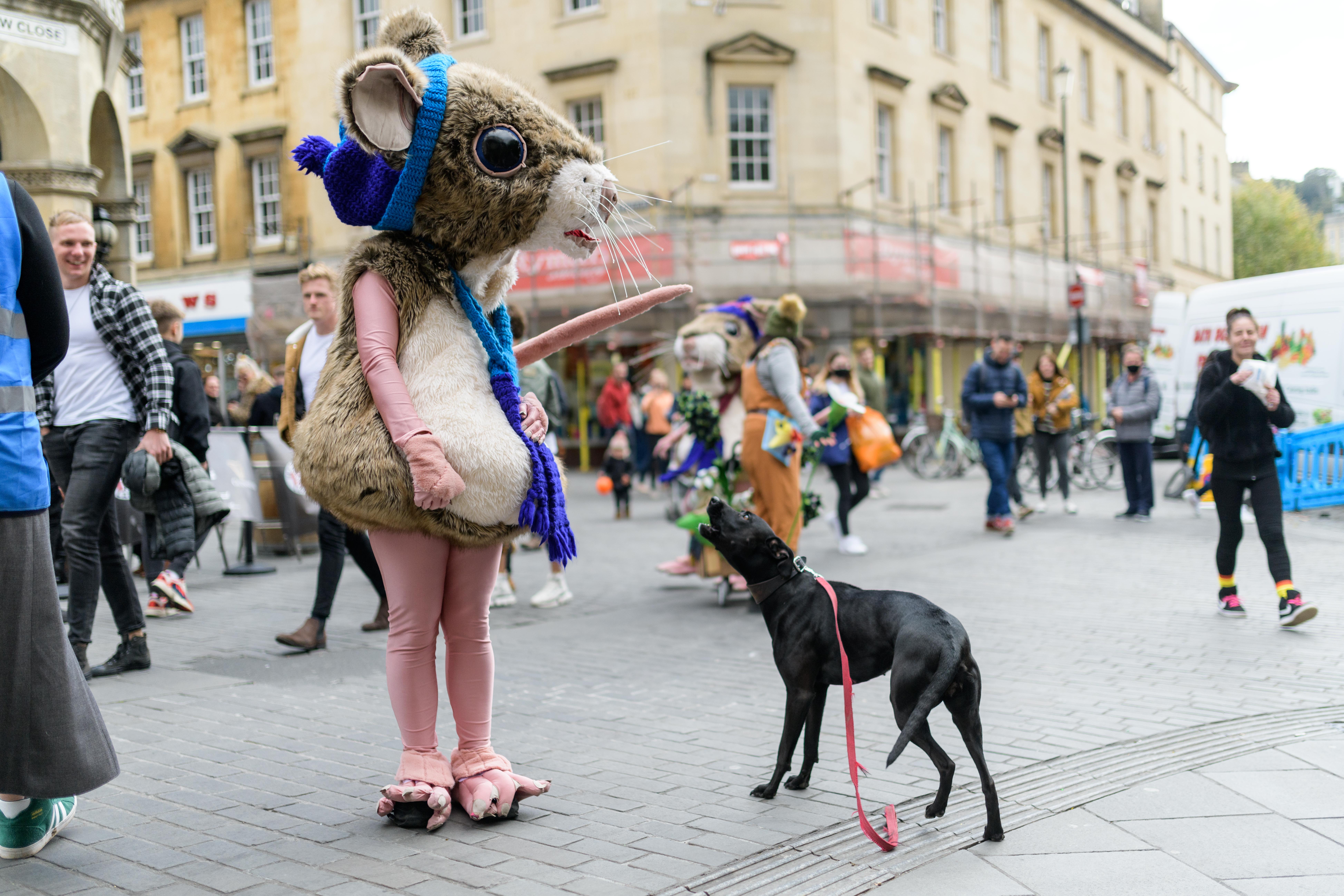 A dog and a performer in a mouse costume as part of Bath Fringe Festival