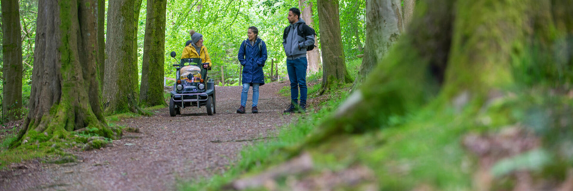 A man and two women enjoy the outdoors in woodland
