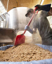 Uomo in un birrificio che lavora alla produzione della birra