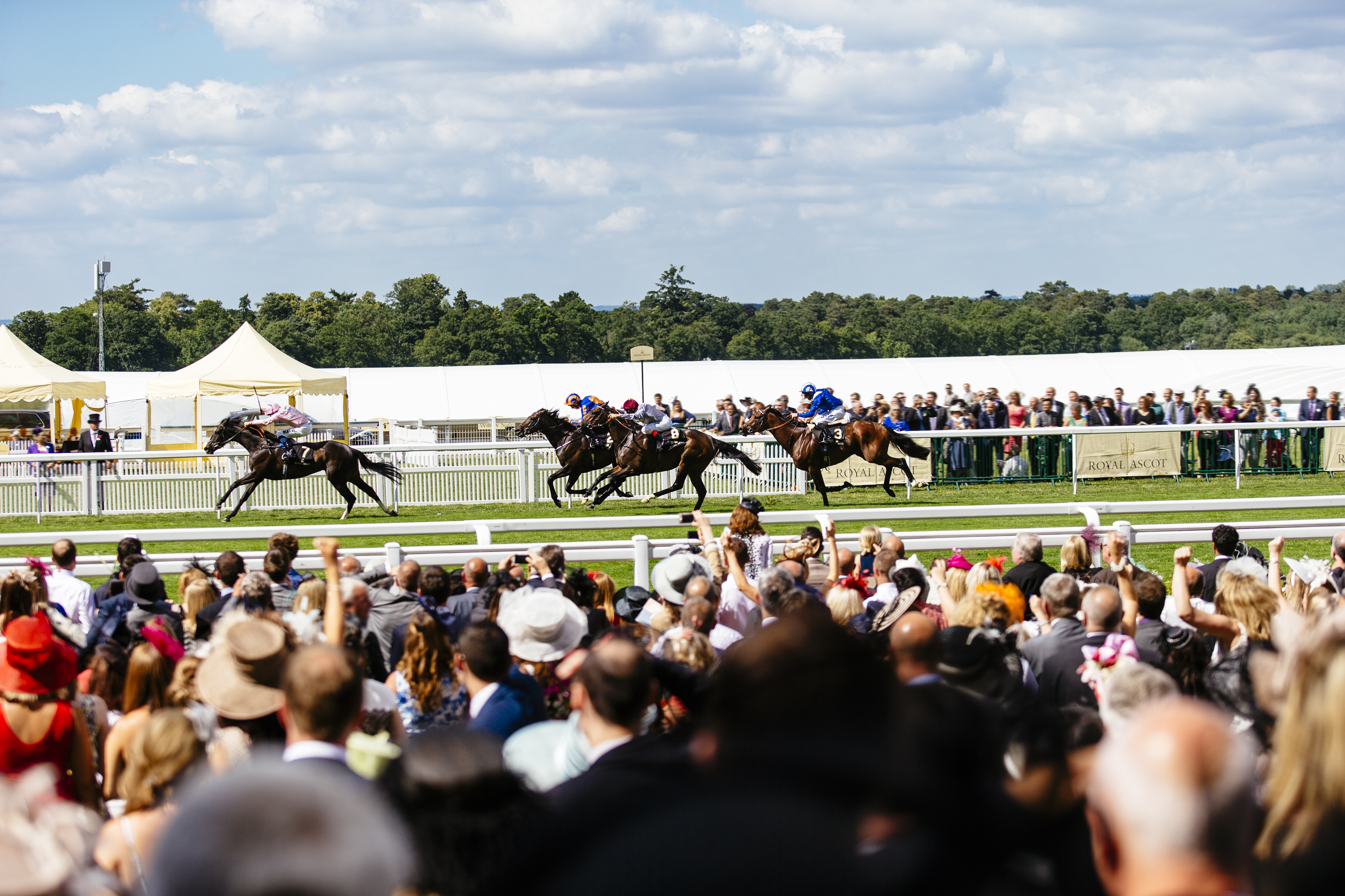 Grand groupe de spectateurs regardant une course. Chevaux de course au galop