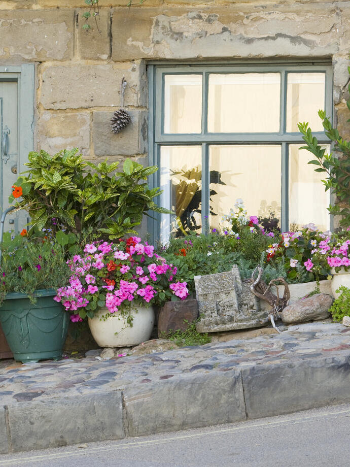 Ein Cottage auf einem Hügel mit Pflanzen in Töpfen vor der Tür