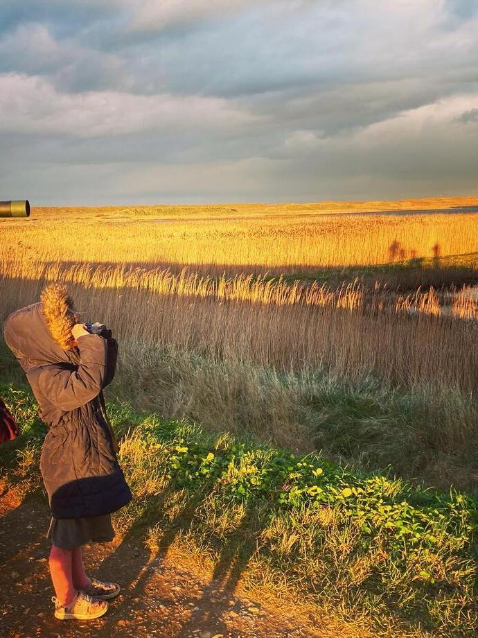 Observación de aves en las marismas de Salthouse