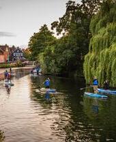 A group of people paddleboarding on the River Wensum