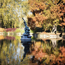 A statue in a lake surrounded by trees in autumn