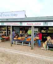 Drove Orchards Farm Shop