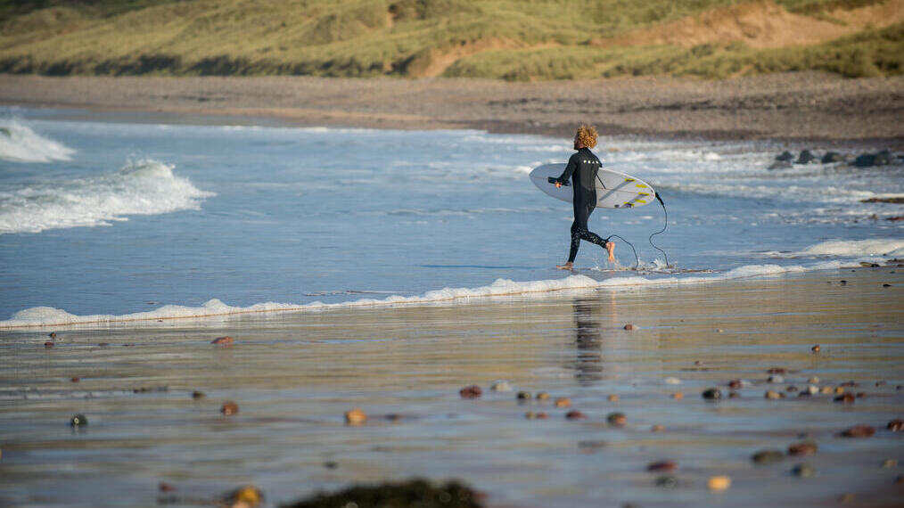 Pembrokeshire Seafood, Pembrokeshire, Wales, UK